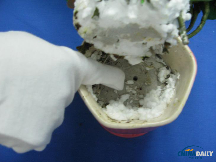 廣州海關(guān)“霹靂行動(dòng)” 打掉7團(tuán)伙繳毒106公斤