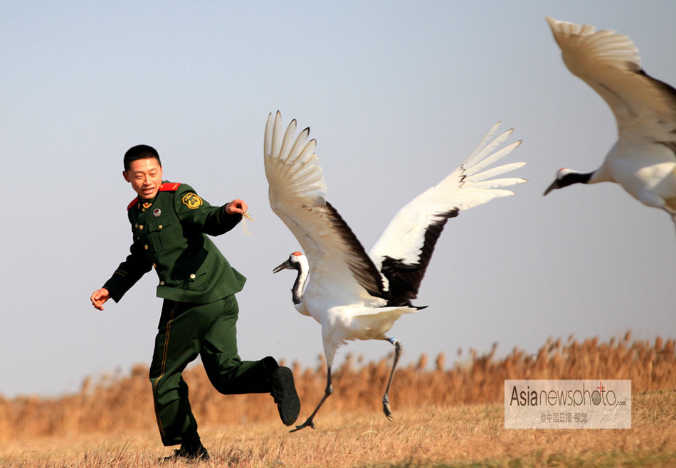 中國(guó)日?qǐng)?bào)一周圖片精選：12月7日—13日