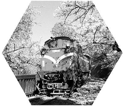 臺灣望與大陸聯(lián)手申遺 稱文化遺產(chǎn)無關政治