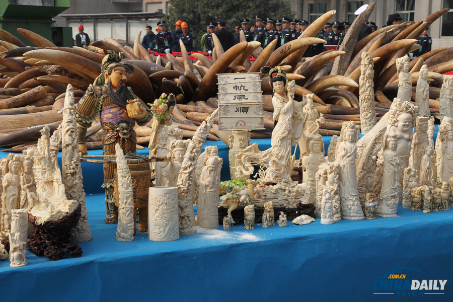 中國公開銷毀6.1噸執法查沒象牙