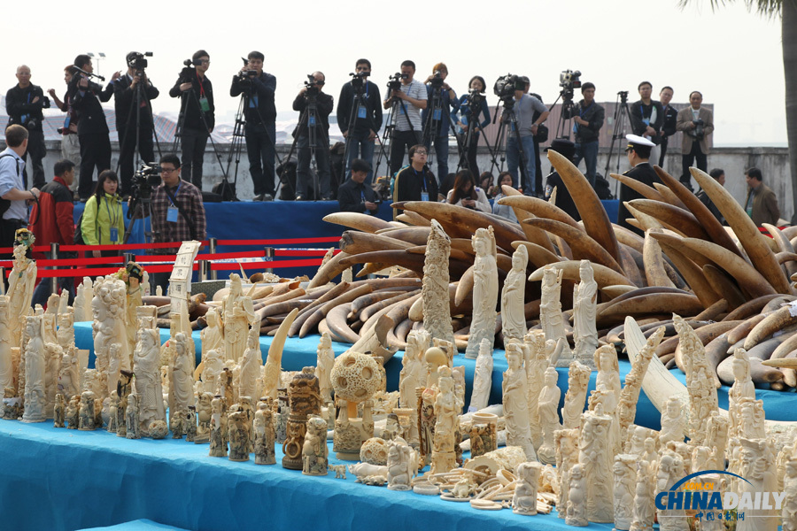 中國公開銷毀6.1噸執法查沒象牙