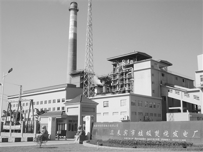 二惡英不應再是反燒理由