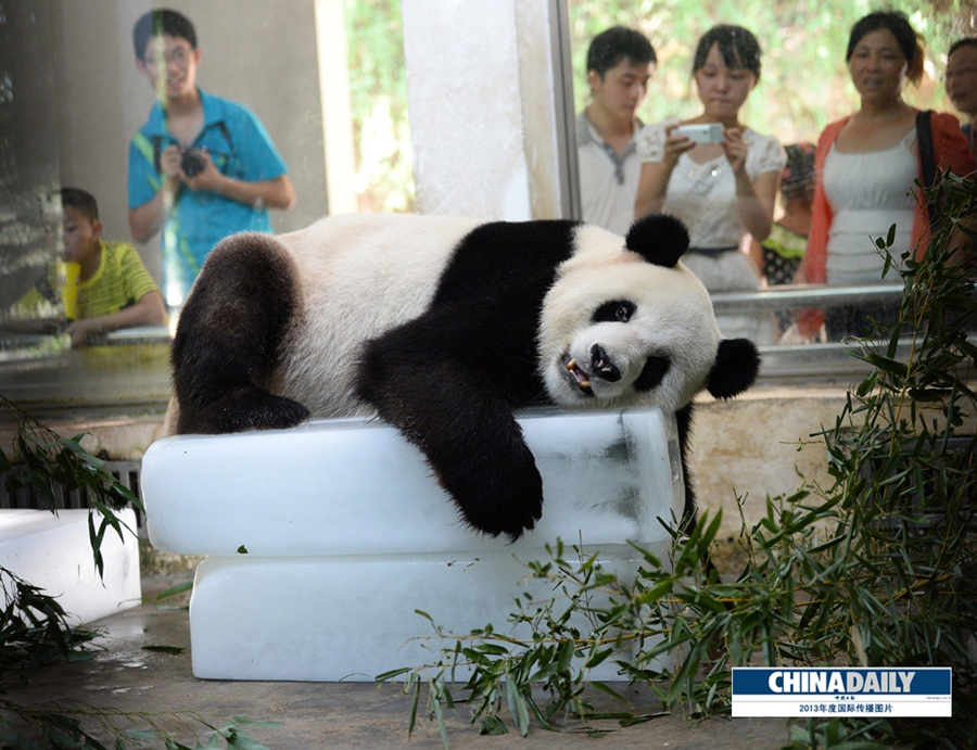 中國(guó)日?qǐng)?bào)2013年度國(guó)際傳播圖片精選