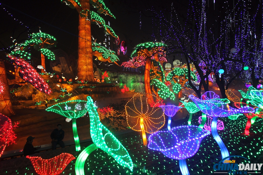 第20屆自貢國際恐龍燈會