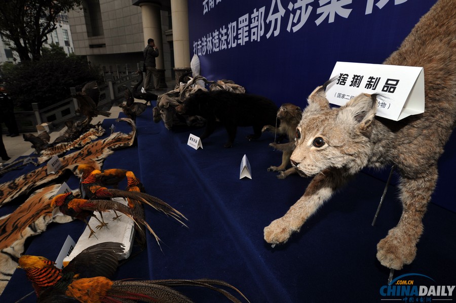 云南警方偵破一起特大走私販賣野生動物制品案