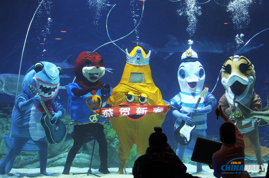 北京海洋館潛水員“水下舞龍”迎新春