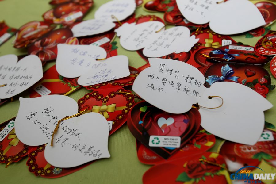 北京植物園邀金婚老人過(guò)情人節(jié) 甜蜜“曬證”