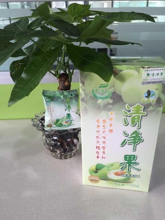 圣品緣清凈果，為何成為上班族的伴侶？