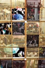 昨入園55.2萬再創(chuàng)新高 已無冷門場(chǎng)館