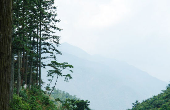 感受自然好去處 盤點省內最誘人的天然氧吧