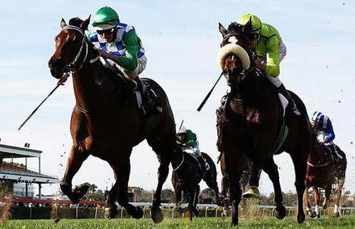 15大最奇怪的機(jī)場命名