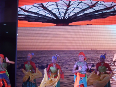 第三屆南洋文化節(jié)鷺島開(kāi)幕