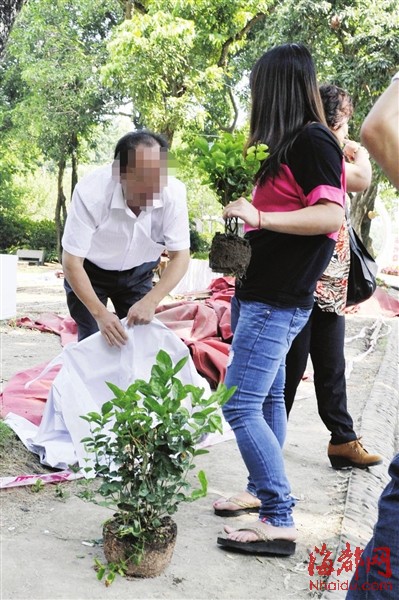 西湖盆景展撤展盆花遭哄搶 市民辯稱幫忙清理垃圾