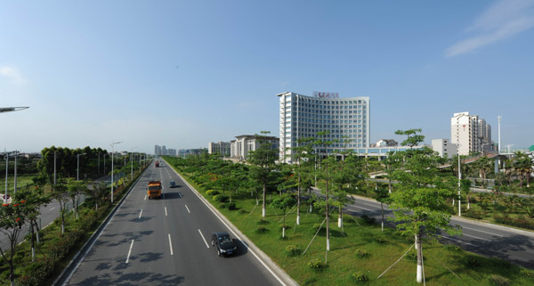 翔安大道兩側(cè)綠化景觀工程二期工程正式啟動