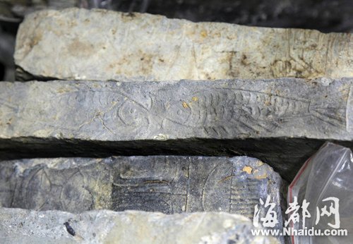 國家文物局專家關注屏山站發掘 實地踏勘