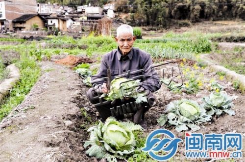 永春80歲老伯囚禁瘋兒20年 守著一畝三分地撫養