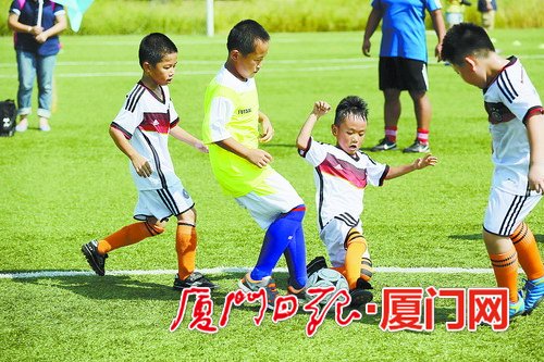廈門校園足球面臨三大瓶頸 整體足球發展不夠均衡