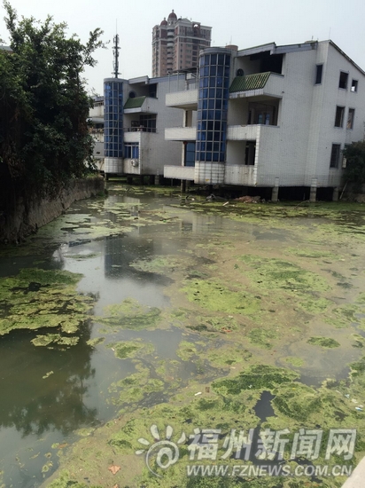 福州多條內河現(xiàn)污水直排 截污面臨治理難管理難