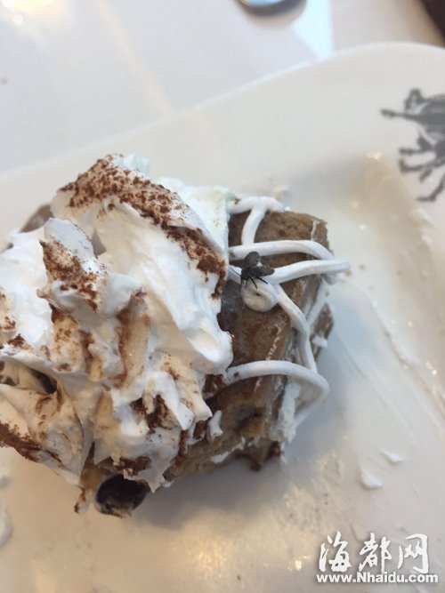斗牛士餐廳甜點(diǎn)沾上毛蠓 市民餐后出現(xiàn)嘔吐腹瀉