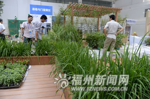 “6·18”展館精彩看點揭秘 平潭灰鯨標本首亮相榕