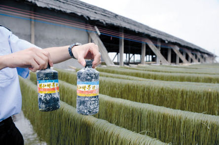 墨汁紅薯粉老板自爆：往粉條里“加料”是行規