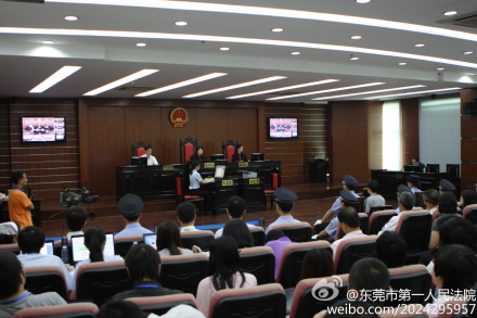 母親溺死雙胞胎腦癱兒案開庭 被告當庭認罪