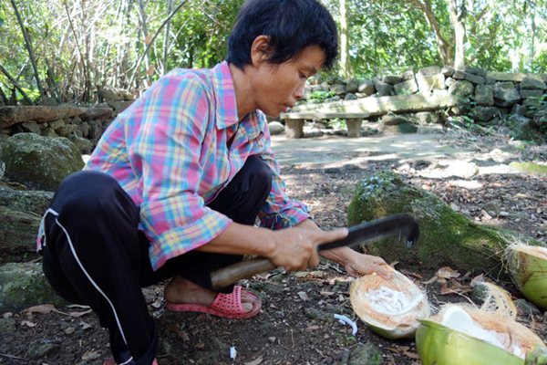 海南文明生態村巡禮之二——特色道路助推農民致富