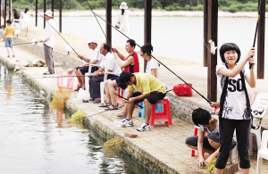 海南休閑農業面臨客源零散等困局 不該只是