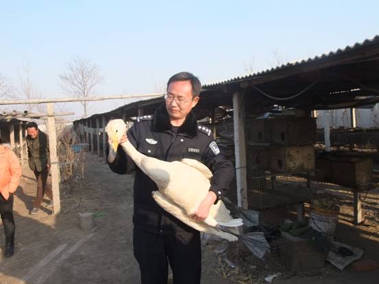 唐山樂亭用心呵護藍天上的精靈