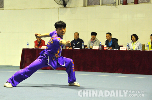 2016年河北省農(nóng)民傳統(tǒng)武術(shù)比賽在文安縣拉開帷幕