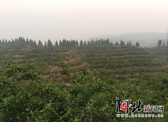 【網(wǎng)絡(luò)媒體走轉(zhuǎn)改】追記李保國教授：心之所在 魂歸太行