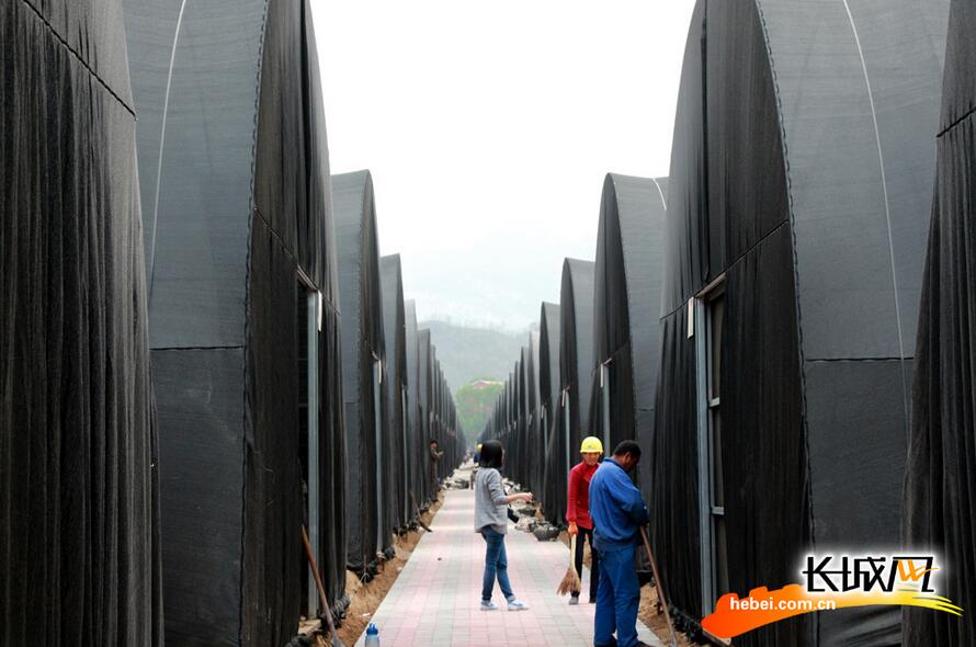 打好扶貧攻堅(jiān)戰(zhàn)：阜平變樣了