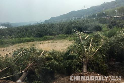 河北省企業社會責任促進會籌20萬元救災物資赴邢臺災區