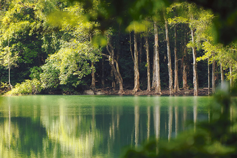 不一樣的亞洲國際都會——香港之優質生活篇