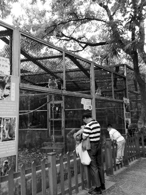 老人每天去動(dòng)物園喂動(dòng)物 被提醒看警示牌稱不識(shí)字