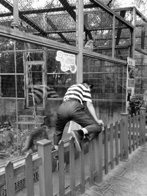 老人每天去動(dòng)物園喂動(dòng)物 被提醒看警示牌稱不識(shí)字