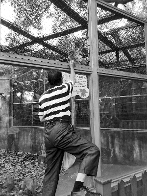 老人每天去動(dòng)物園喂動(dòng)物 被提醒看警示牌稱不識(shí)字