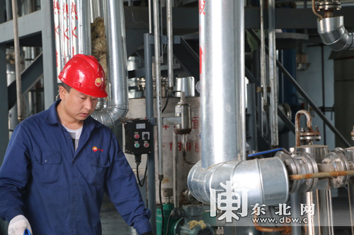 揭秘綏化產業成功密碼 保姆式服務助企業成長