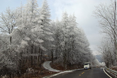 神農架出現持續霧凇景觀(圖)