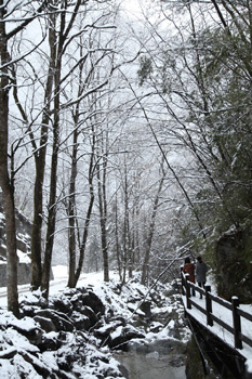 神農架降十年最大春雪
