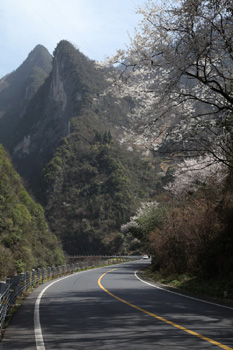 神農架降十年最大春雪
