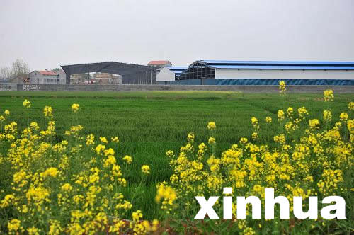 湖北省委組織部回應“周森鋒再獲提拔”爭議