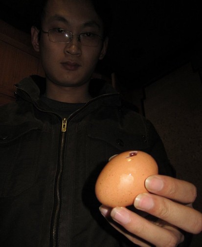 山東現“橡皮雞蛋”煮熟蛋黃能彈起20厘米(圖)