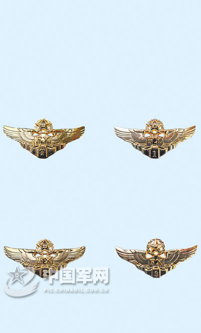 我軍飛行人員八一起佩戴飛行等級證章