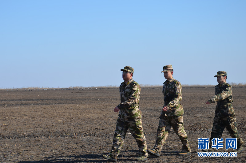 盤錦邊防打造“綠色通道”為遷徙候鳥保駕護航