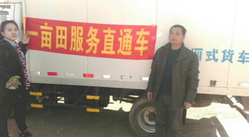 沈陽胡蘿卜嚴(yán)重滯銷：微博引發(fā)“網(wǎng)絡(luò)救災(zāi)”