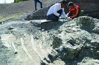 遼寧現立體保存最好恐龍化石（圖）