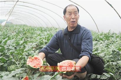 “膨大劑”風波重創成都西瓜 “口口脆”大量滯銷