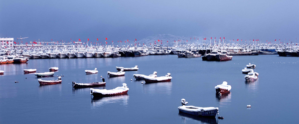 “靖海灣杯?藍色威海—秀美漁業”攝影展在威海舉行