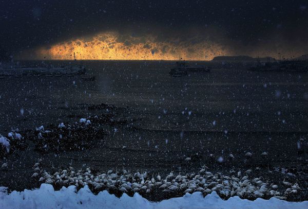 黃可華：藝術家的靈魂 詩一般的創意